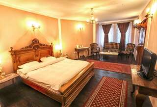 Отель Hotel Evmolpia Пловдив Двухместный номер Делюкс с 1 кроватью-5
